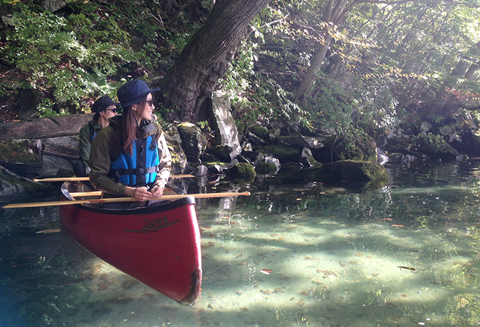 Canadian Canoe (summer vacation period)