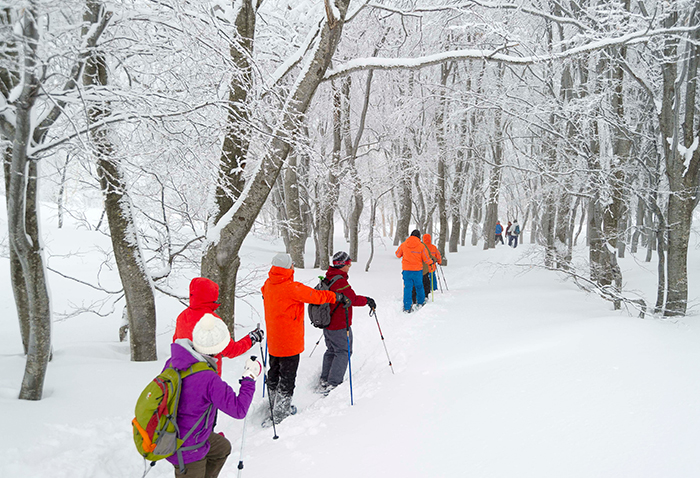 Sukayu Onsen  Snowshoe Hiking