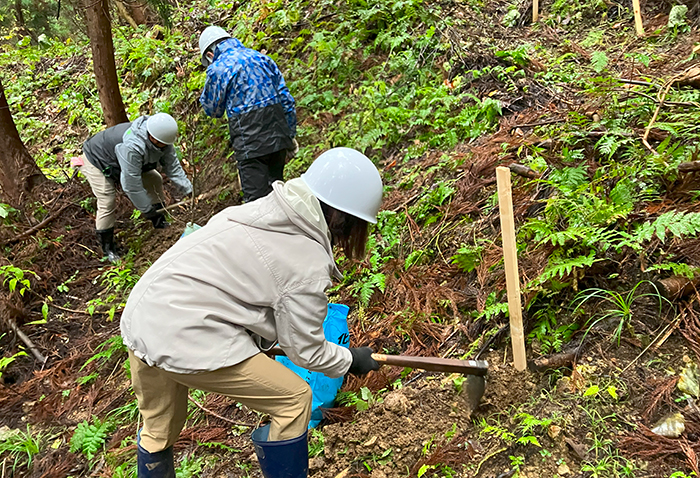 白神山地を守ろう！－ブナの植樹体験－