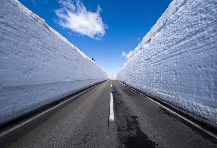 【青森発着日帰り】アルファードで行く八甲田・雪の回廊ドライブと酸ヶ湯温泉